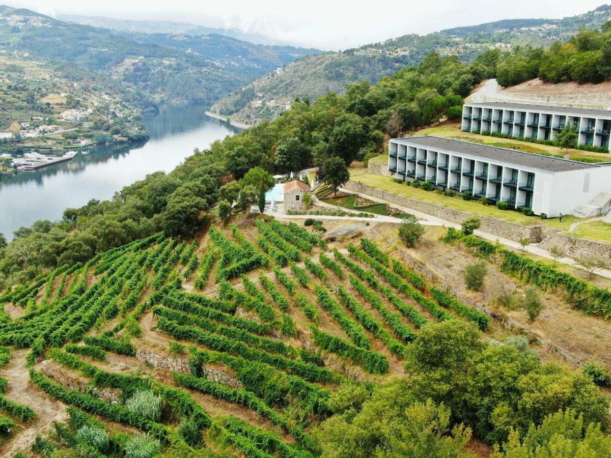 Douro Palace Hotel Resort & Spa Santa Cruz do Douro Dış mekan fotoğraf